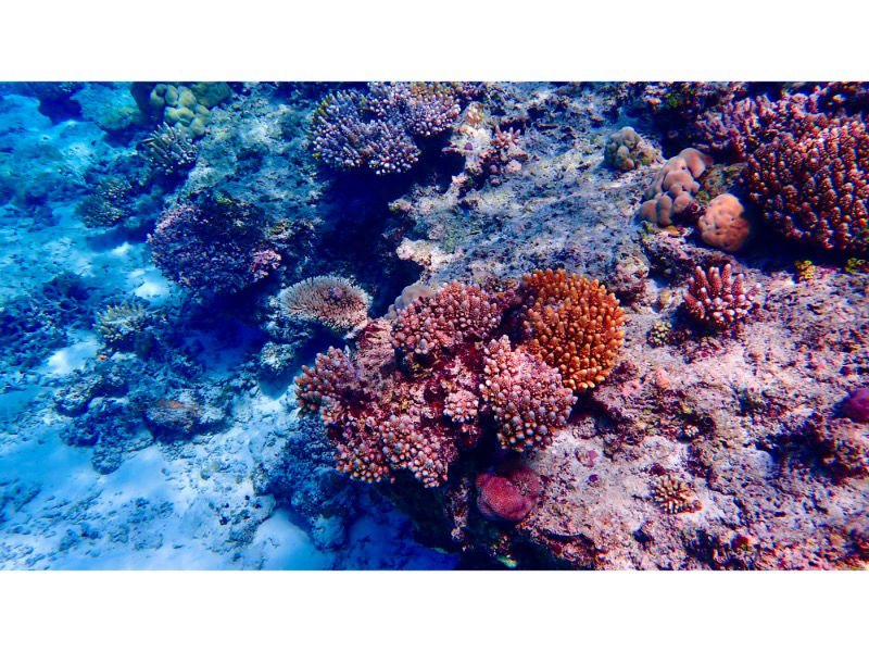 Fijian clear Water Coral Reef Edges