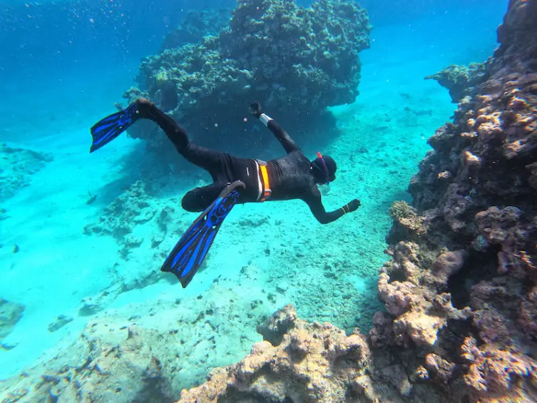 Snorkelling Coral Sea Reefs Australia